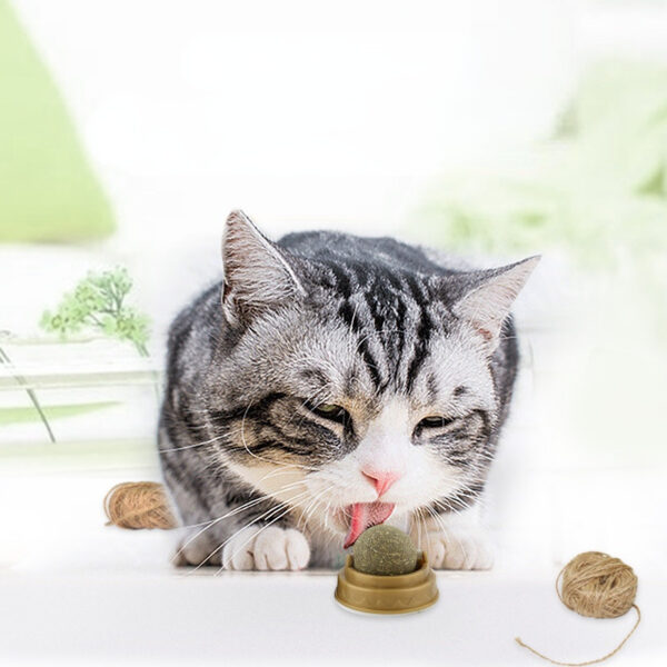 Catnip Balls Cat Treats Rotary Molar Teeth Cleaning - Image 6