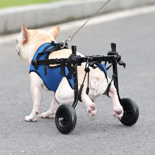 Pet Disabled Dog Wheelchair Scooter - Image 4